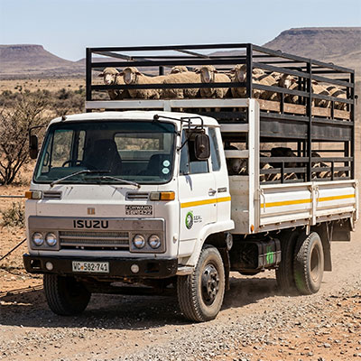 Farm Trucks